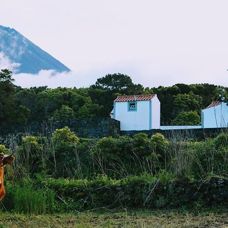 Willa Casa Do Paim São Roque do Pico Zewnętrze zdjęcie