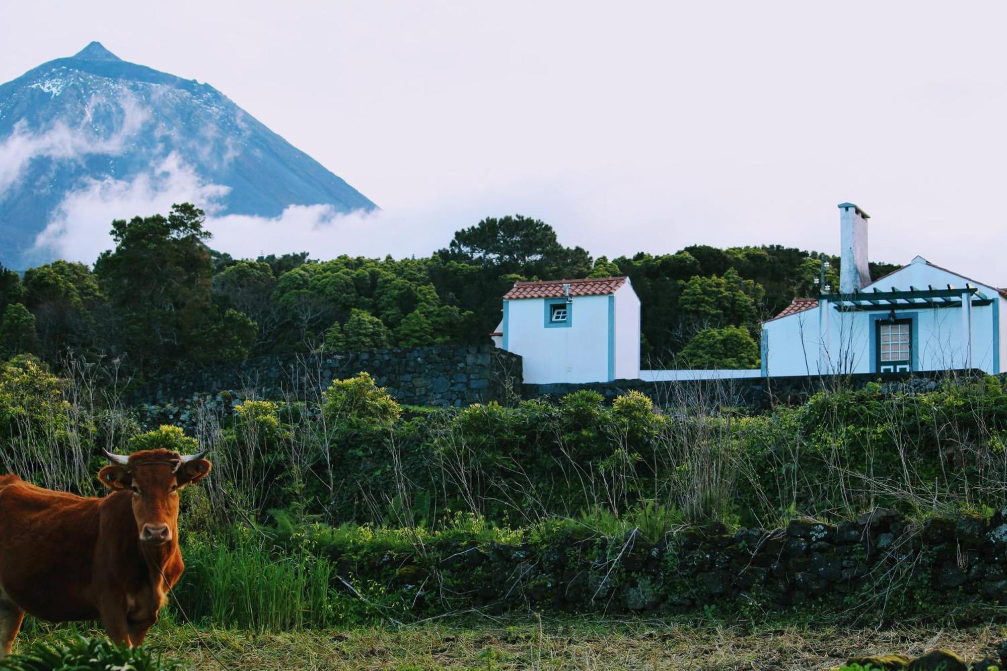 Willa Casa Do Paim São Roque do Pico Zewnętrze zdjęcie